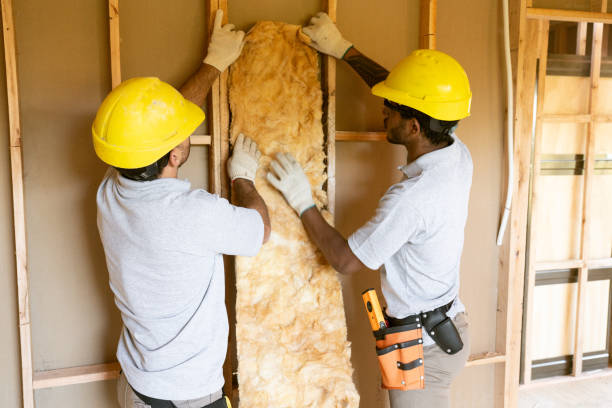 Best Insulation Replacement Services  in Viera West, FL