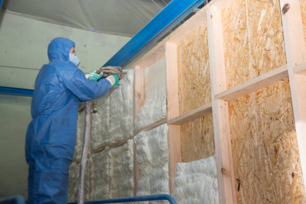 Best Spray Foam Insulation  in Viera West, FL