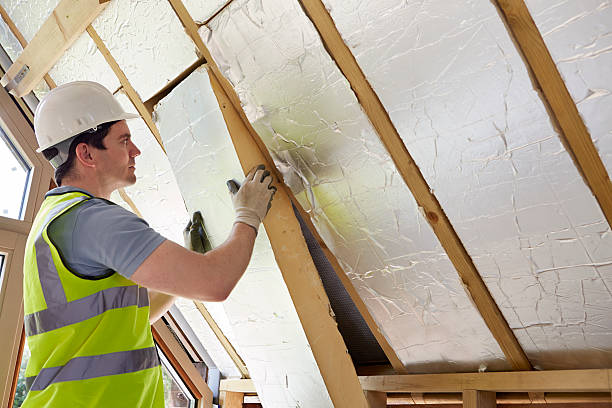 Best Local Insulation Services  in Viera West, FL